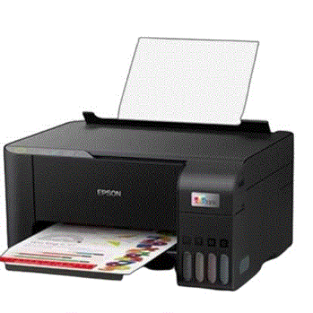 Rental Printer